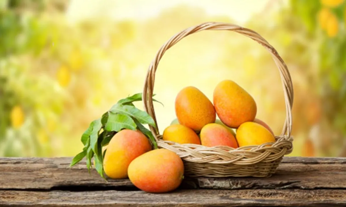 Mumpung Sedang Musimnya, Ini 5 Resep Olahan Mangga yang Bisa Kalian Coba