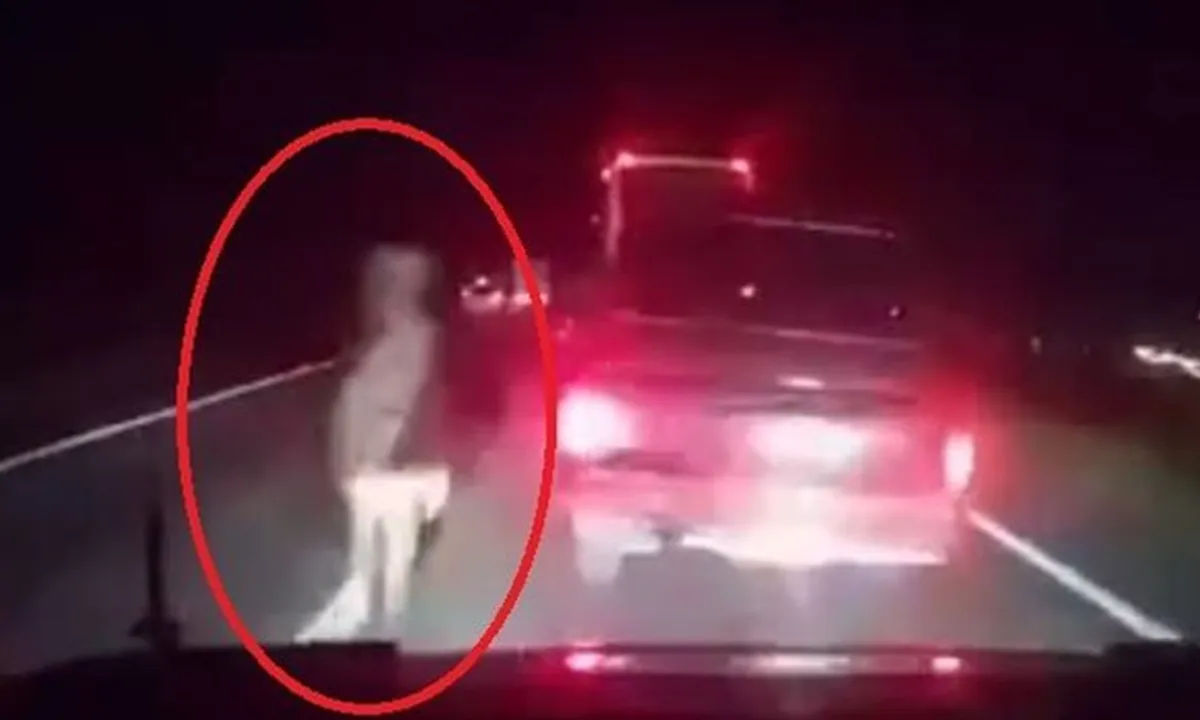 Muncul Sosok Misterius di Tengah Tol Cipali, Terekam Jelas!