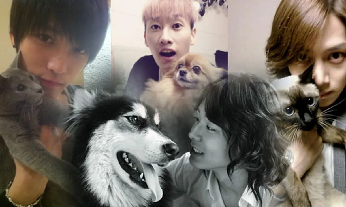Nah Loh... 10 Idol K-Pop Ini Mirip Peliharaan Mereka