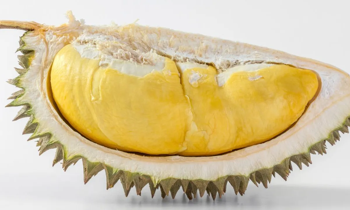 Panduan Cerdas Memilih Durian, Temukan yang Matang dan Manis dengan Mudah!