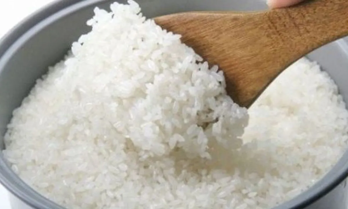 Panduan Menanak Nasi Sempurna yang Bisa Langsung Dipraktikkan
