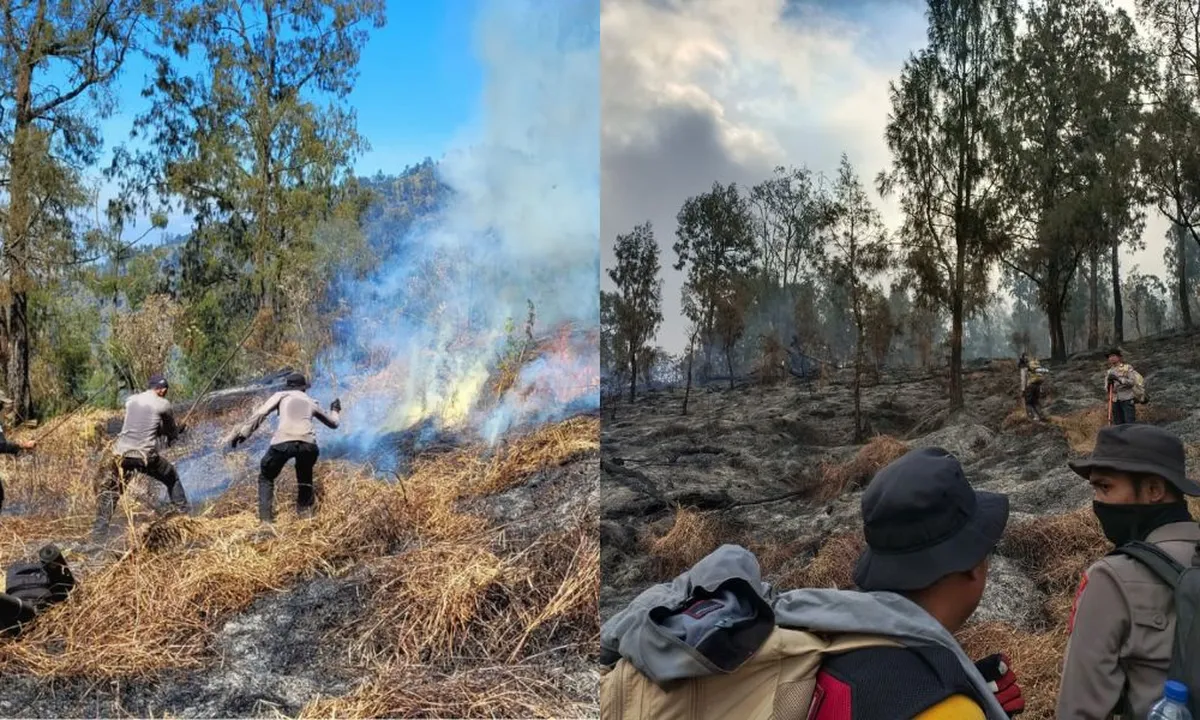 Pemadaman Karhutla Gunung Arjuno Hadapi Medan Terjal, Upaya Terus Dikerahkan dengan Maksimal