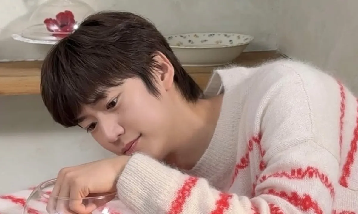 Profil Na In Woo: Siap Comeback Drama Terbaru Bareng Shin Hye-sun