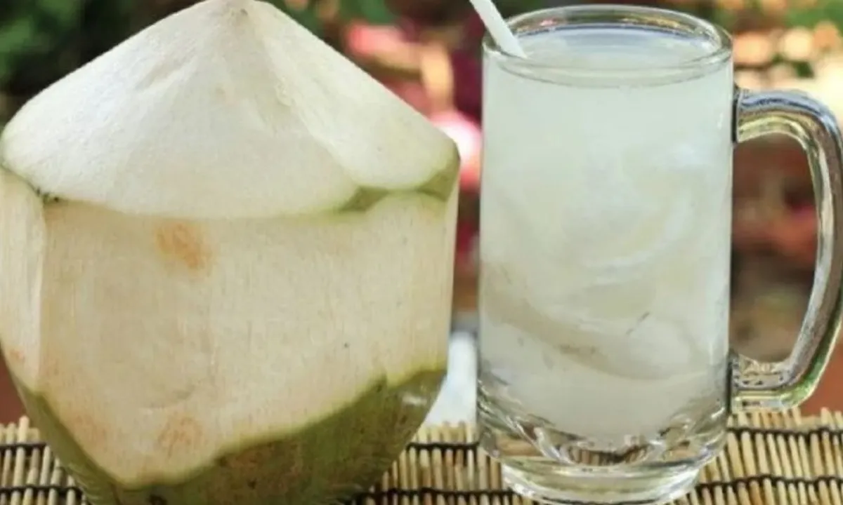 Rahasia Air Kelapa Muda, Solusi Ampuh untuk Kolesterol dan Asam Urat?