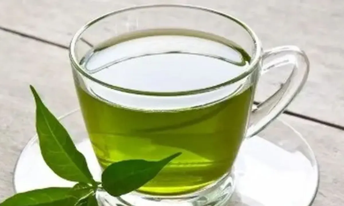 Rahasia Herbal dari Daun-daun Sekitar Rumah, Atasi Kolesterol hingga Gula Darah Tinggi