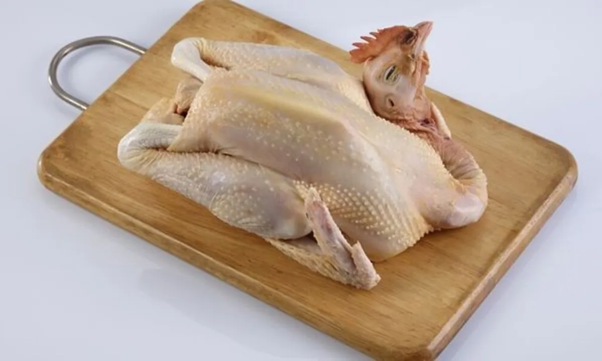 Rahasia Memasak Ayam Kampung, Tips Cepat Agar Dagingnya Empuk dan Lezat!