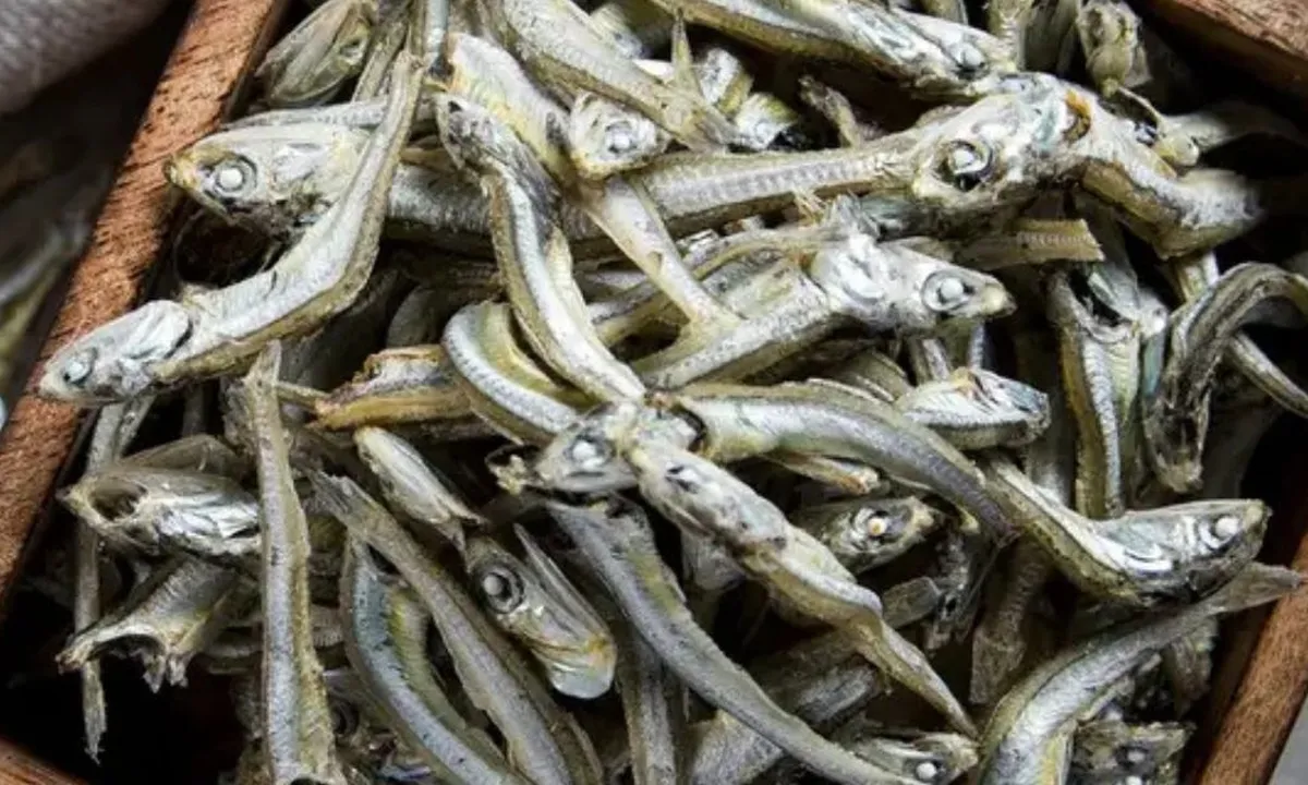 Rahasia Menggoreng Ikan Teri Basah yang Renyah Tanpa Tepung, Simak Triknya