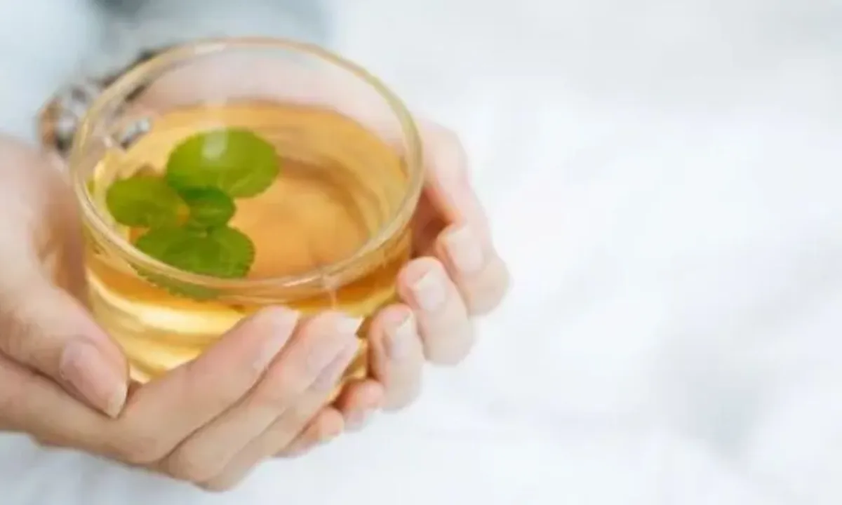 Rahasia Ramuan Herbal Alami untuk Mengatasi Kolesterol Tinggi dengan Mudah