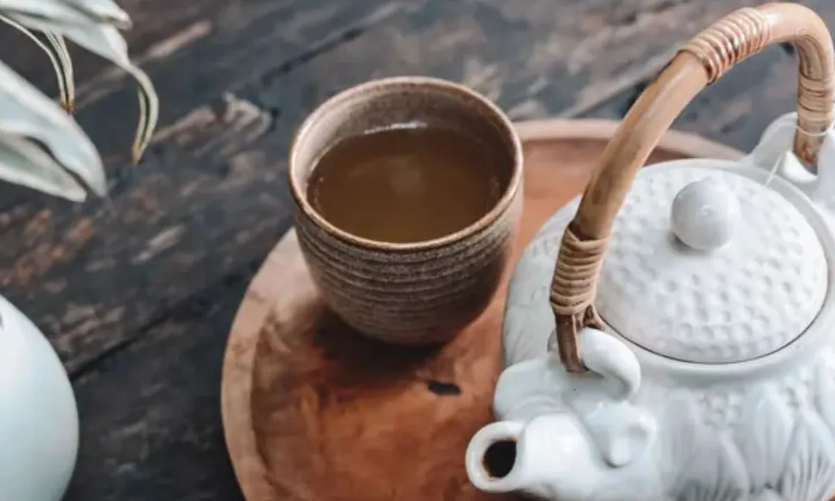 Rahasia Sehat: Tips Mengolah Daun Sirih Cina untuk Menurunkan Kolesterol dengan Mudah