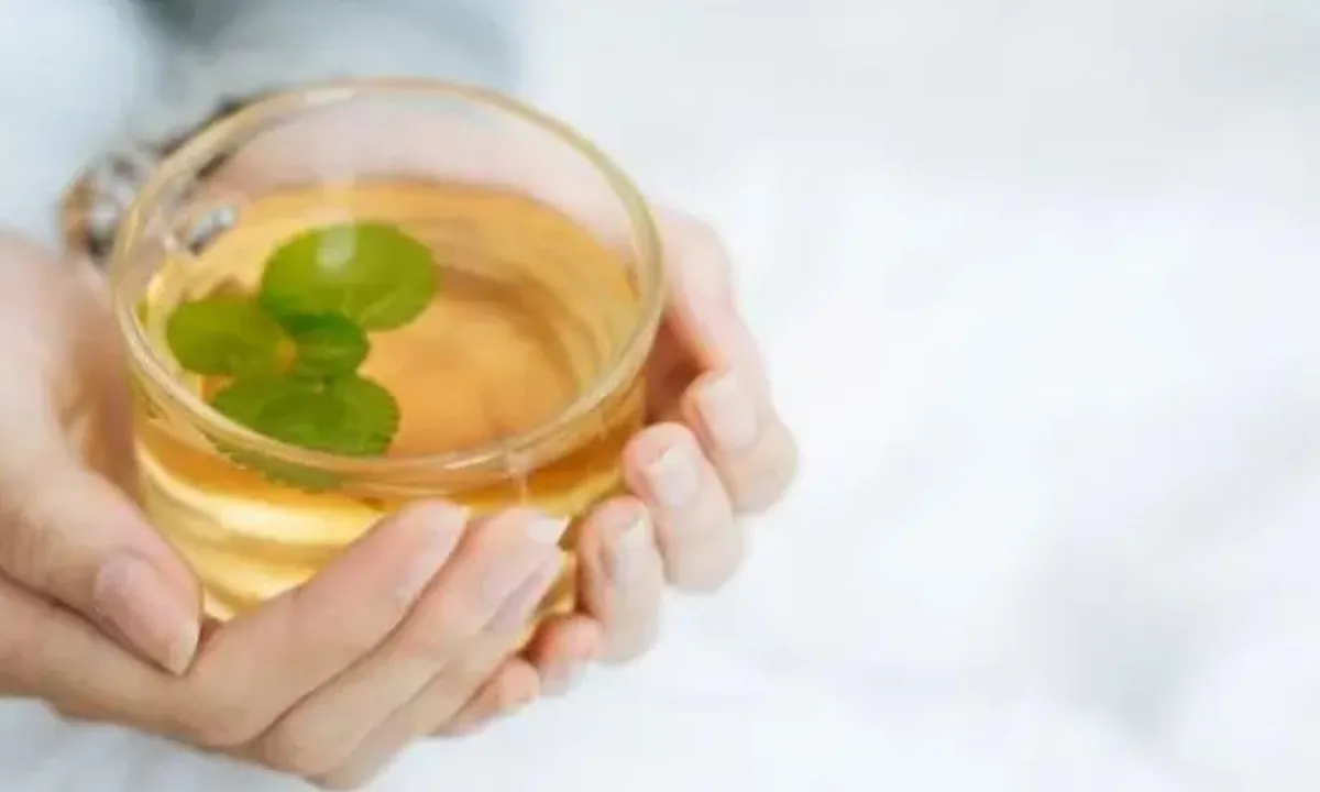 Rahasia Turunkan Kolesterol Secara Alami dengan Teh Herbal dari Dedaunan Pilihan
