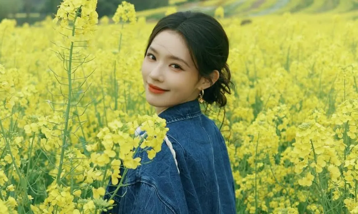 Rekomendasi Drama China yang Dibintangi Lin Yun, Ada A DREAM OF SPLENDOR