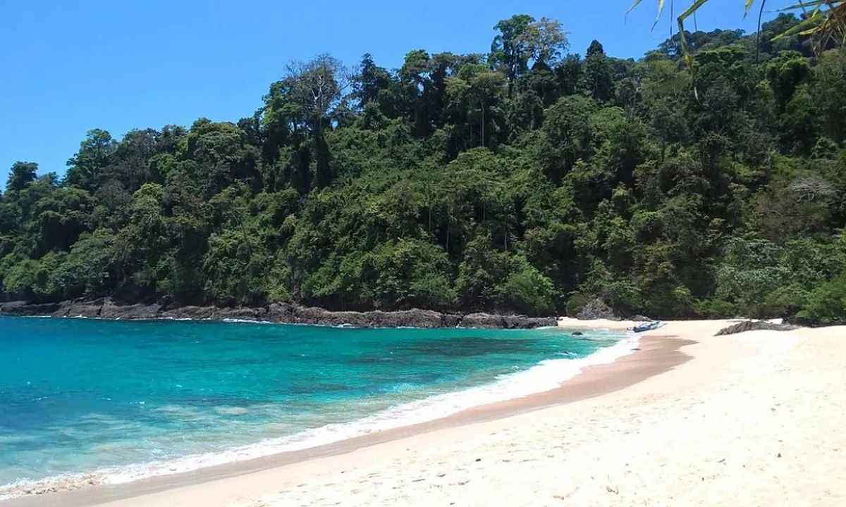 Rekomendasi Tempat Wisata untuk Rayakan Tahun Baru 2025 di Banyuwangi