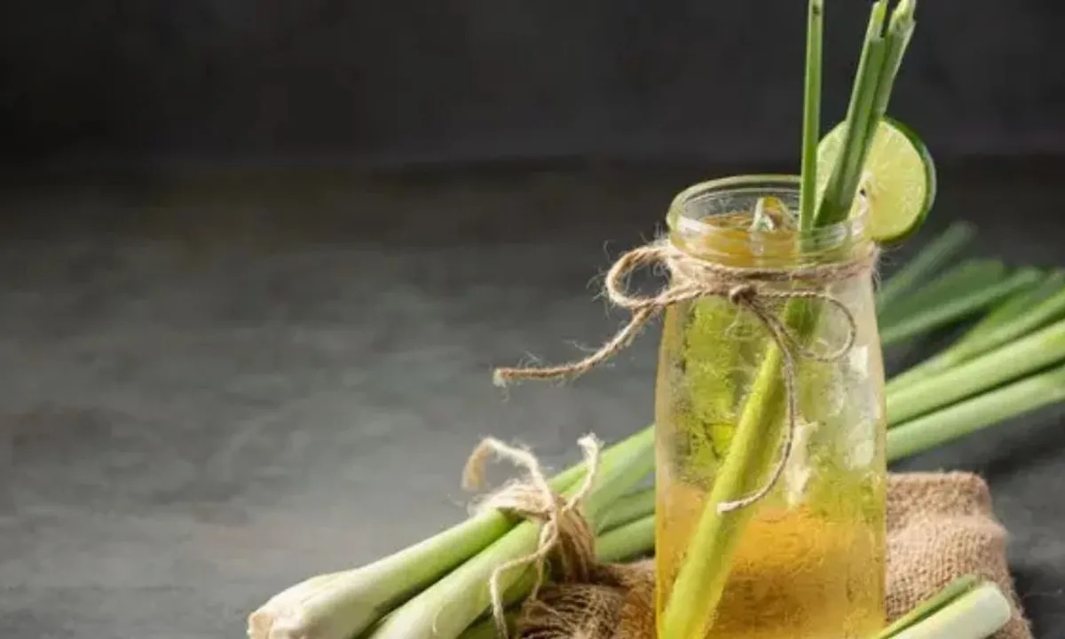 Resep Es Jeruk Nipis Serai, Minuman Sehat Penurun Gula Darah Tinggi