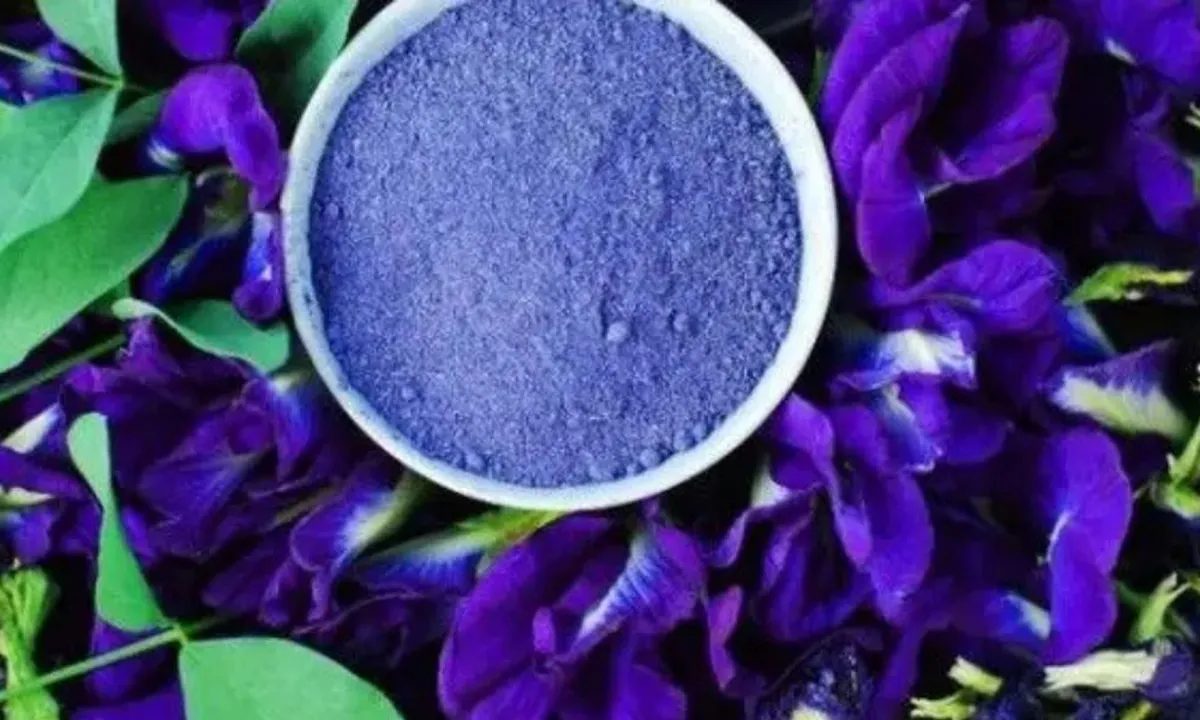 Resep Mudah Minuman Bunga Telang, Rasakan Manfaat Kesehatan di Rumah