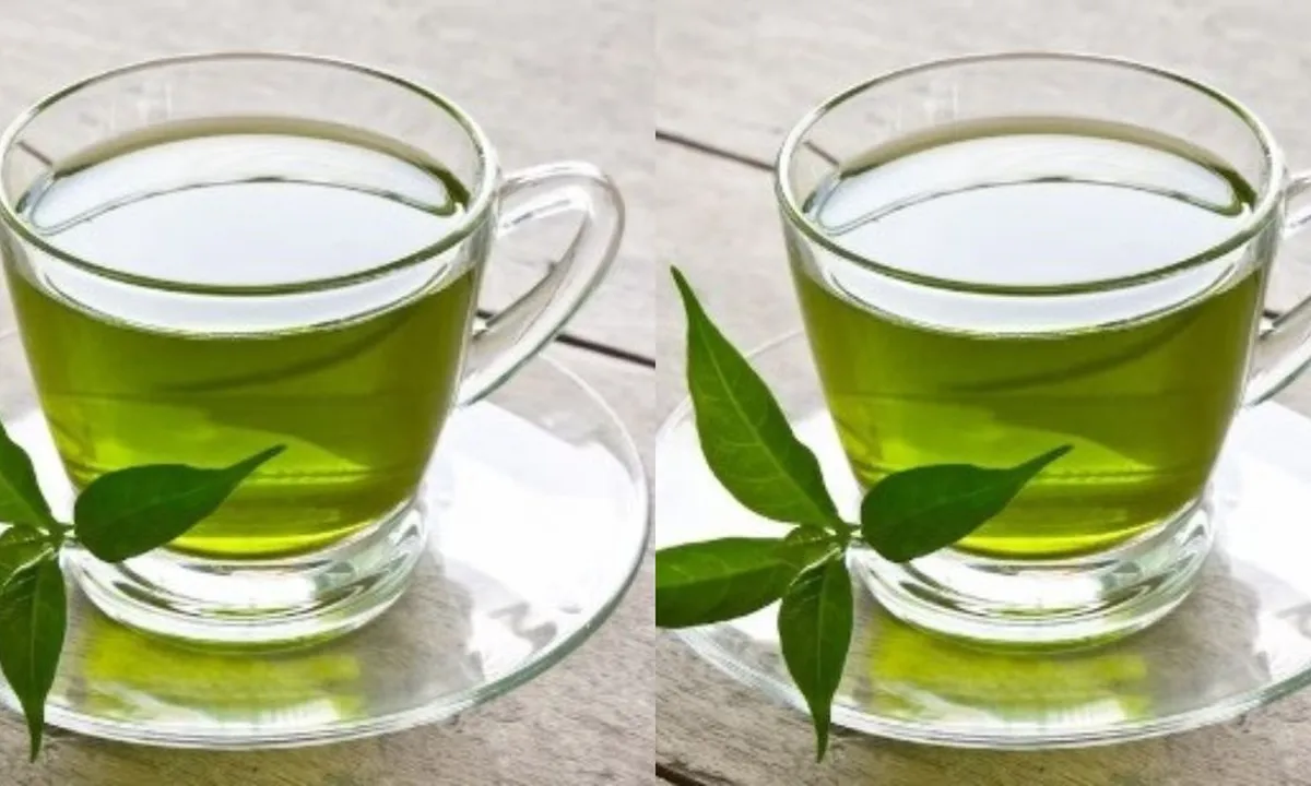 Resep Rebusan 5 Daun yang Ampuh untuk Mengatasi Asam Lambung