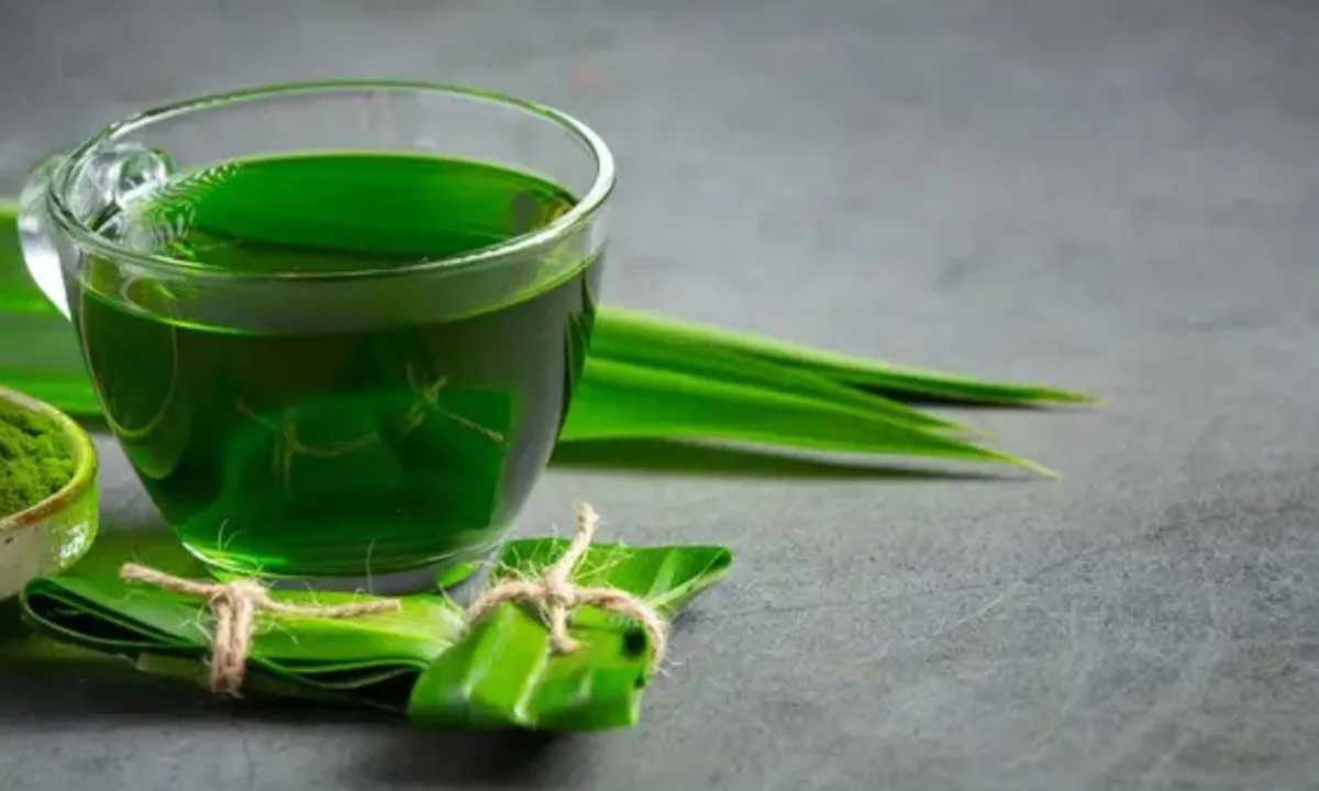 Resep Rebusan Daun Pandan yang Bermanfaat untuk Kesehatan Anda