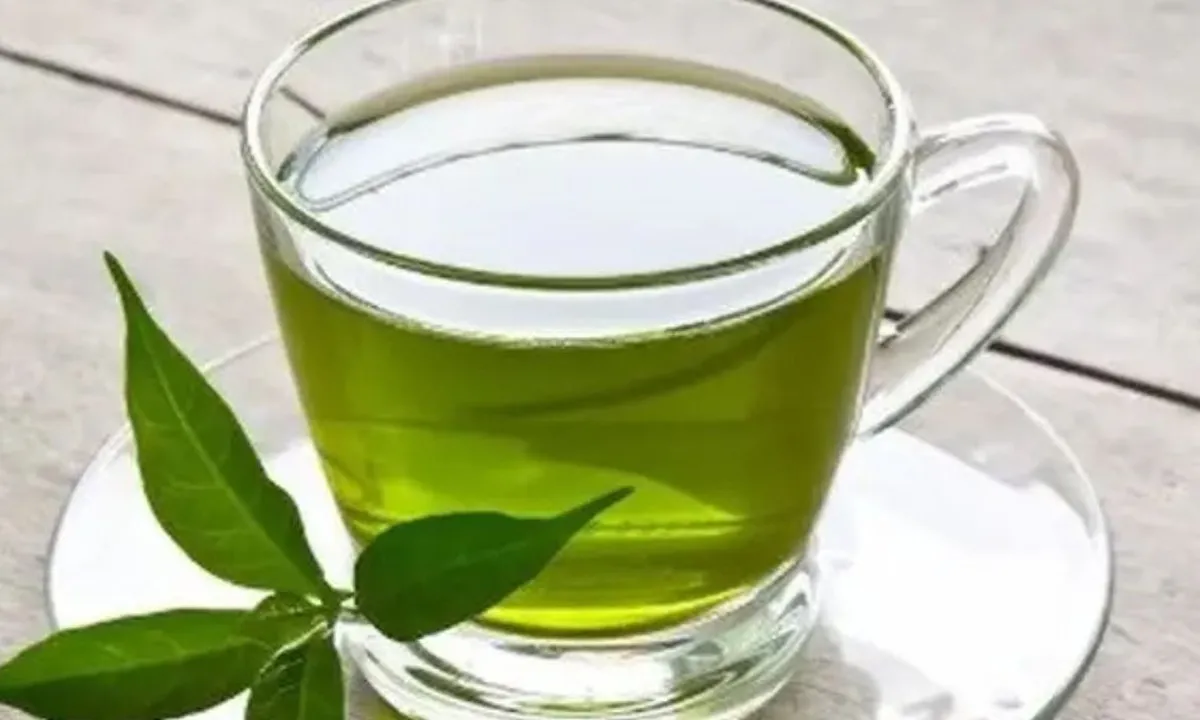 Resep Rebusan Daun untuk Menurunkan Kolesterol dan Mengontrol Darah Tinggi