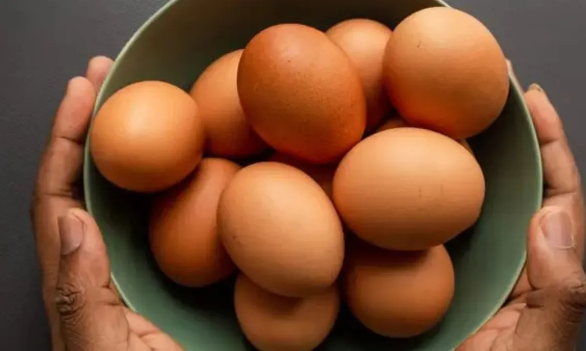 Sarapan dengan Telur, Benarkah Bisa Picu Kenaikan Kolesterol? Ini Kata Ahli