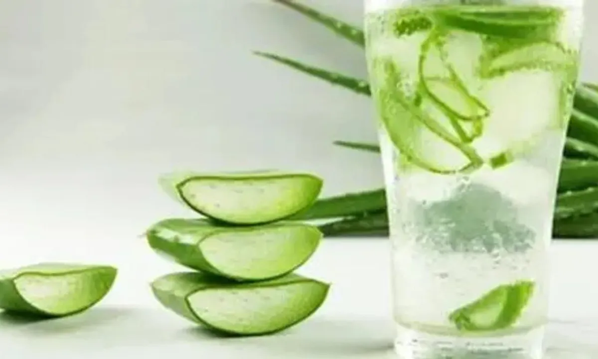 Segarnya Es Lidah Buaya Selasih, Minuman Istimewa untuk Menyambut Buka Puasa!