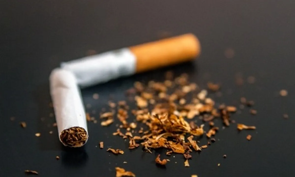 8 Manfaat Tembakau yang Jarang Diketahui Bagi Kesehatan, Tak Hanya Bahan Baku Rokok
