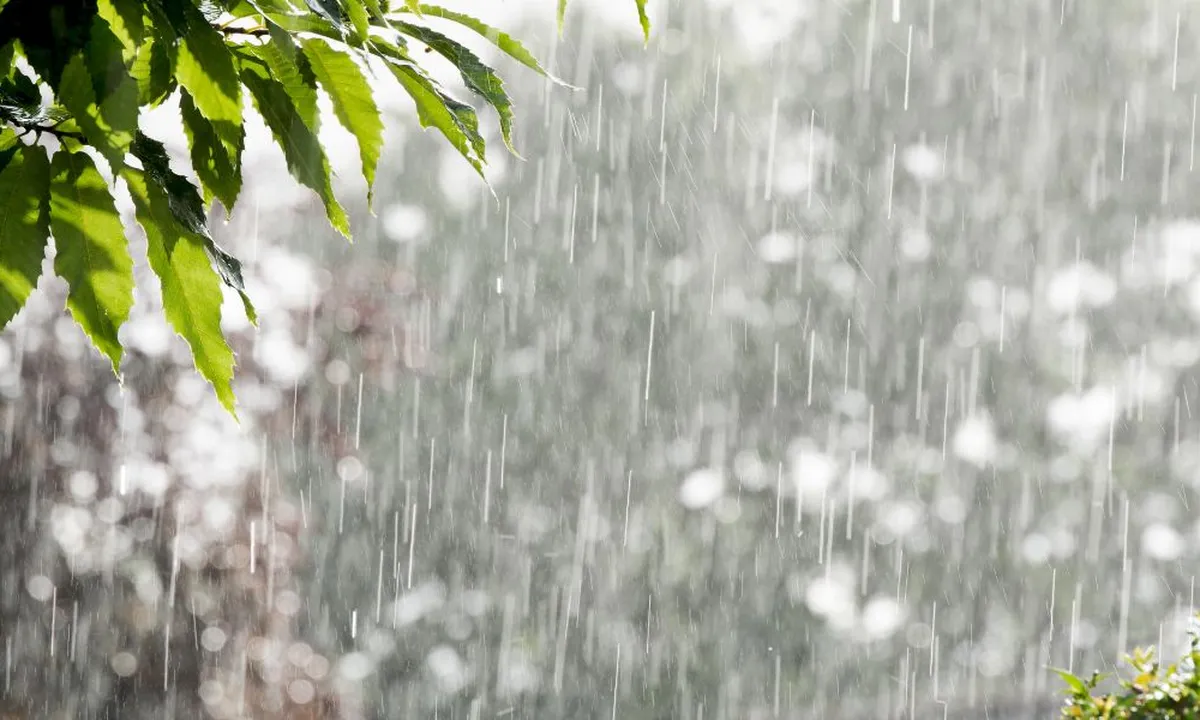 Siaga Banjir di Musim Hujan, Temukan Tips Ampuh untuk Menghadapi!