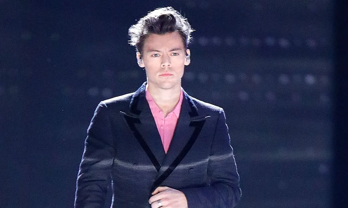 Siap-Siap, Harry Styles Umumkan Jadwal Tour 2020!