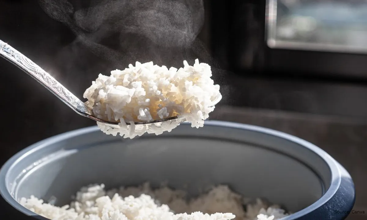 Simak Rahasia Bikin Nasi Lebih Pulen dari Beras Biasa