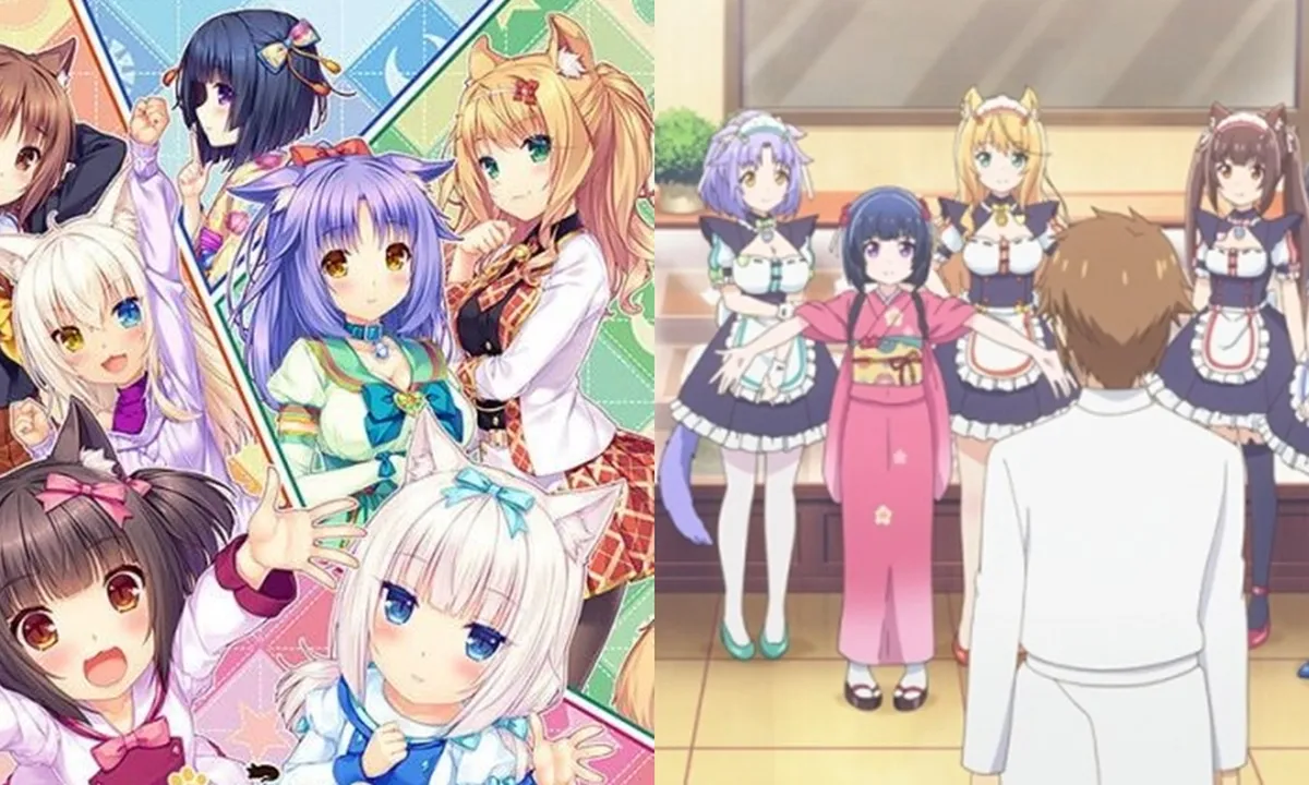 Sinopsis Anime NEKOPARA, Kisah Para Kucing Cantik yang Bekerja di Toko Roti