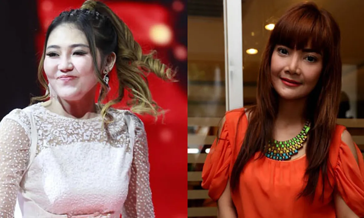 Soal Cover Lagu SID, Irma Dharmawangsa: Via Vallen Tidak Salah