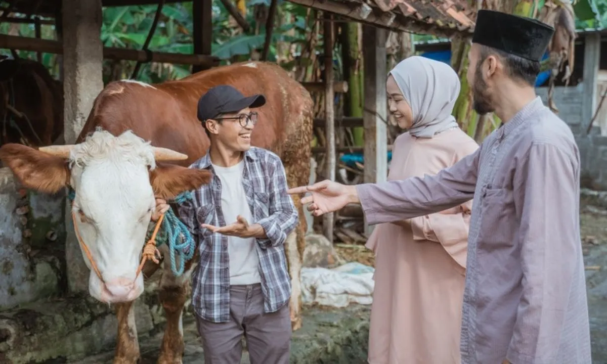 Solusi Beli Hewan Kurban yang Praktis, Cobain Yuk