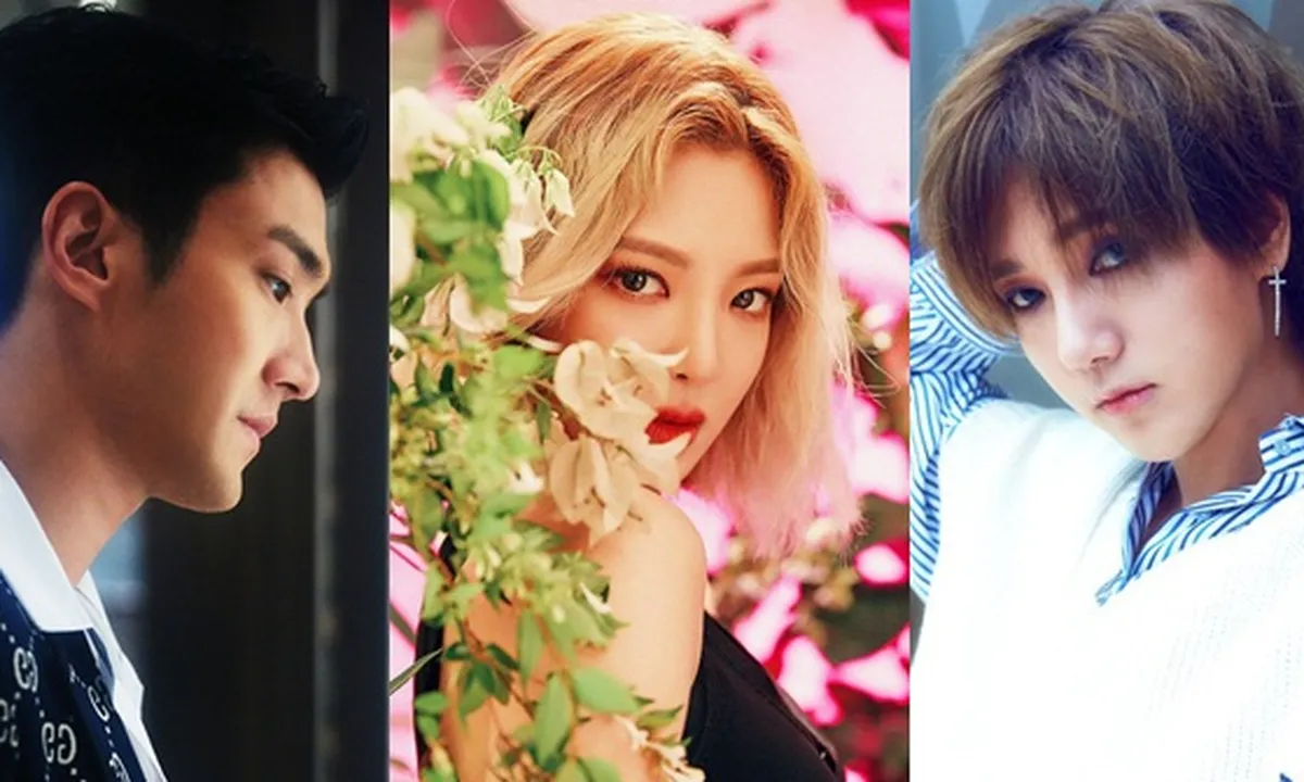 Super Junior Sampai Hyoyeon SNSD Ucapkan Doa dan Harapan Untuk Palu