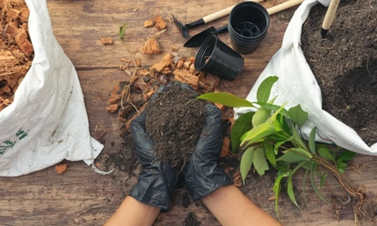 Tak Sekadar Trend, Berkebun Jadi Gaya Hidup Menyehatkan Mental di Masa Pandemi