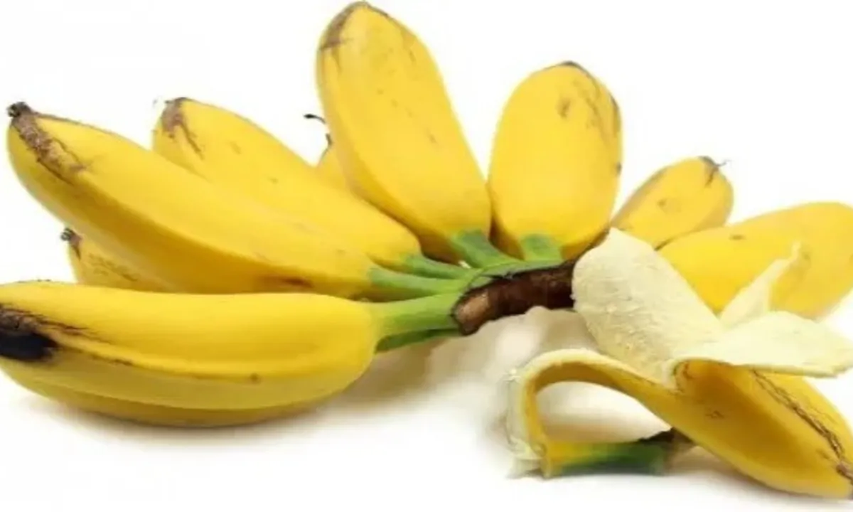 Teknik Merebus Pisang Kepok dengan Cara Mudah, Perlu Dicoba