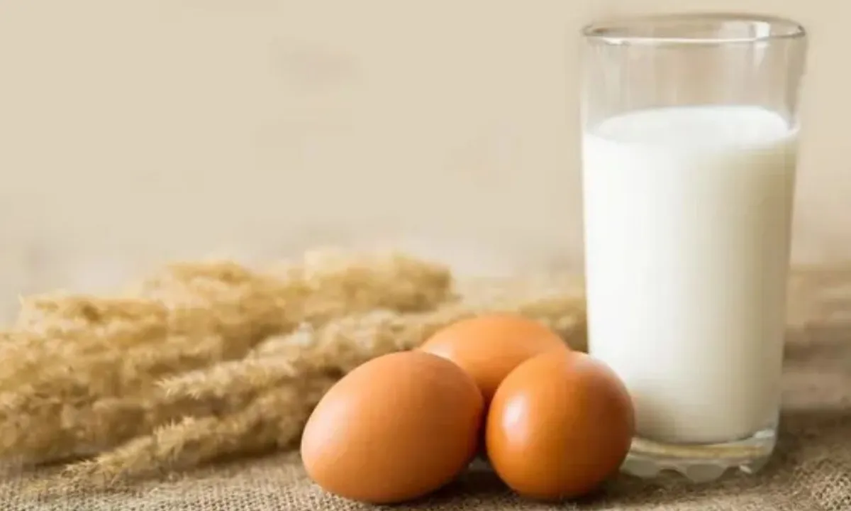 Telur dan Susu, Teman Sehat atau Musuh Kolesterol? Temukan Jawabannya di Sini