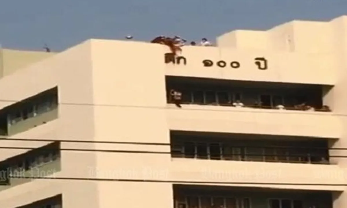 Terjatuh Dari Atap Gedung, Gadis Cilik Ini Selamat Berkat Bajunya Yang Tersangkut