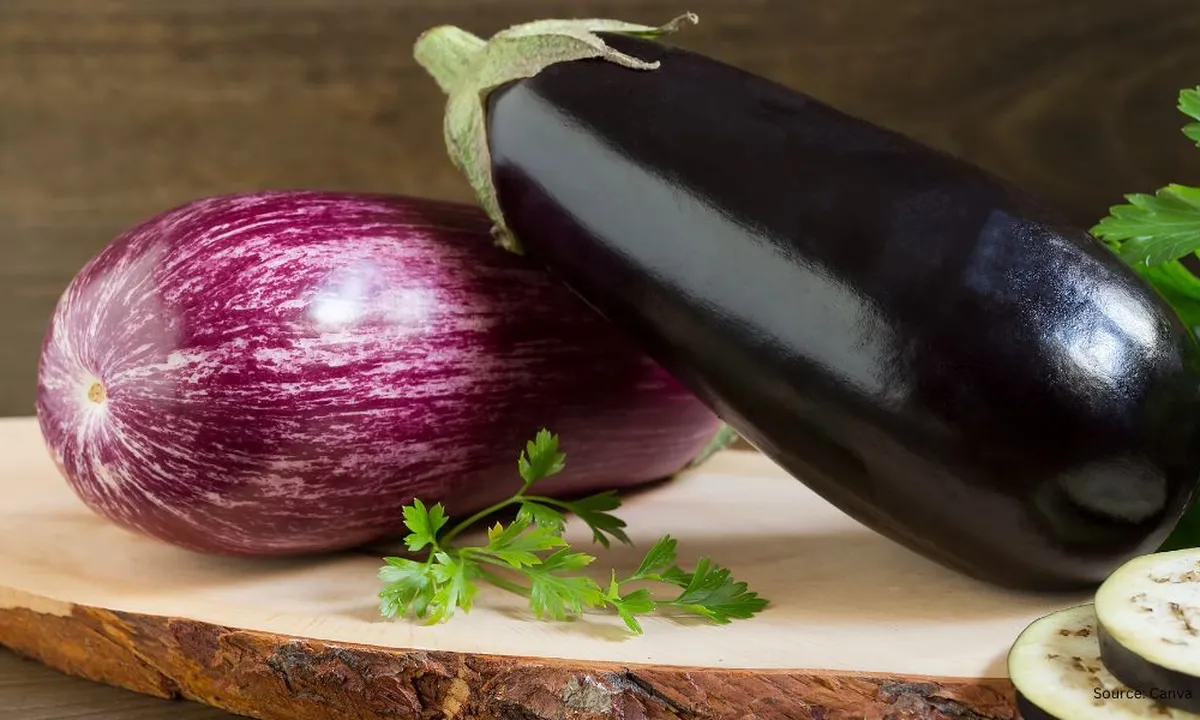 Terong Tetap Ungu Cantik Saat Dimasak? Ini Langkah-Langkah Praktisnya