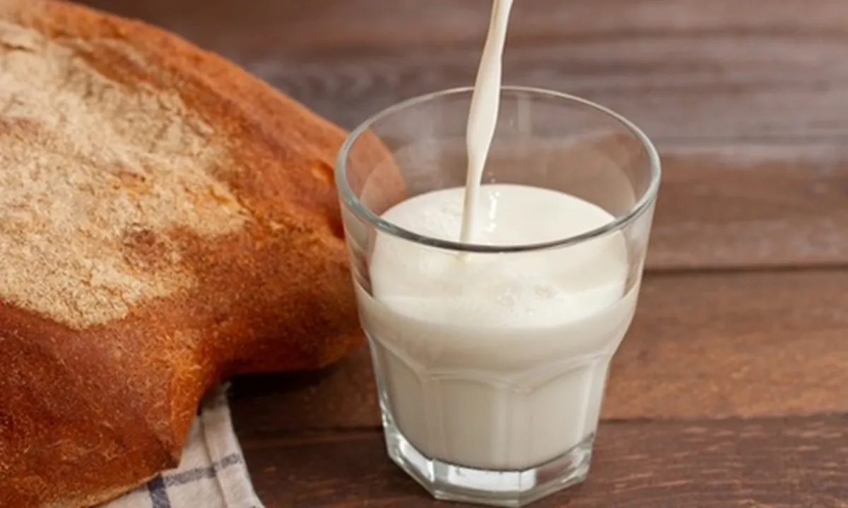 10 Manfaat Susu Beruang Bila Dikonsumsi Secara Rutin, Rasakan Khasiatnya