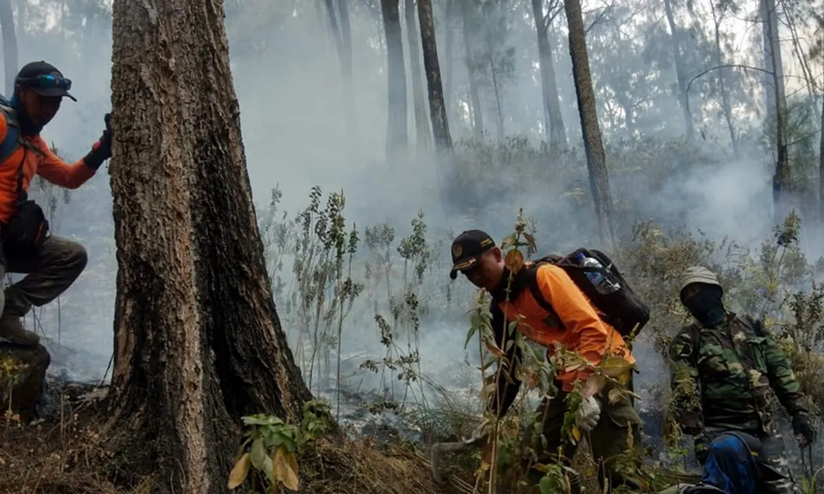Tim Terus Sisir Kemungkinan Muncul Api di Sisa Kebakaran Gunung Arjuno