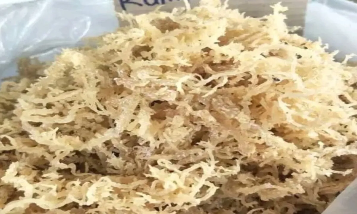 Tips Aman Mengolah Rumput Laut Kering, Cuma Pakai Bahan Dapur Ini
