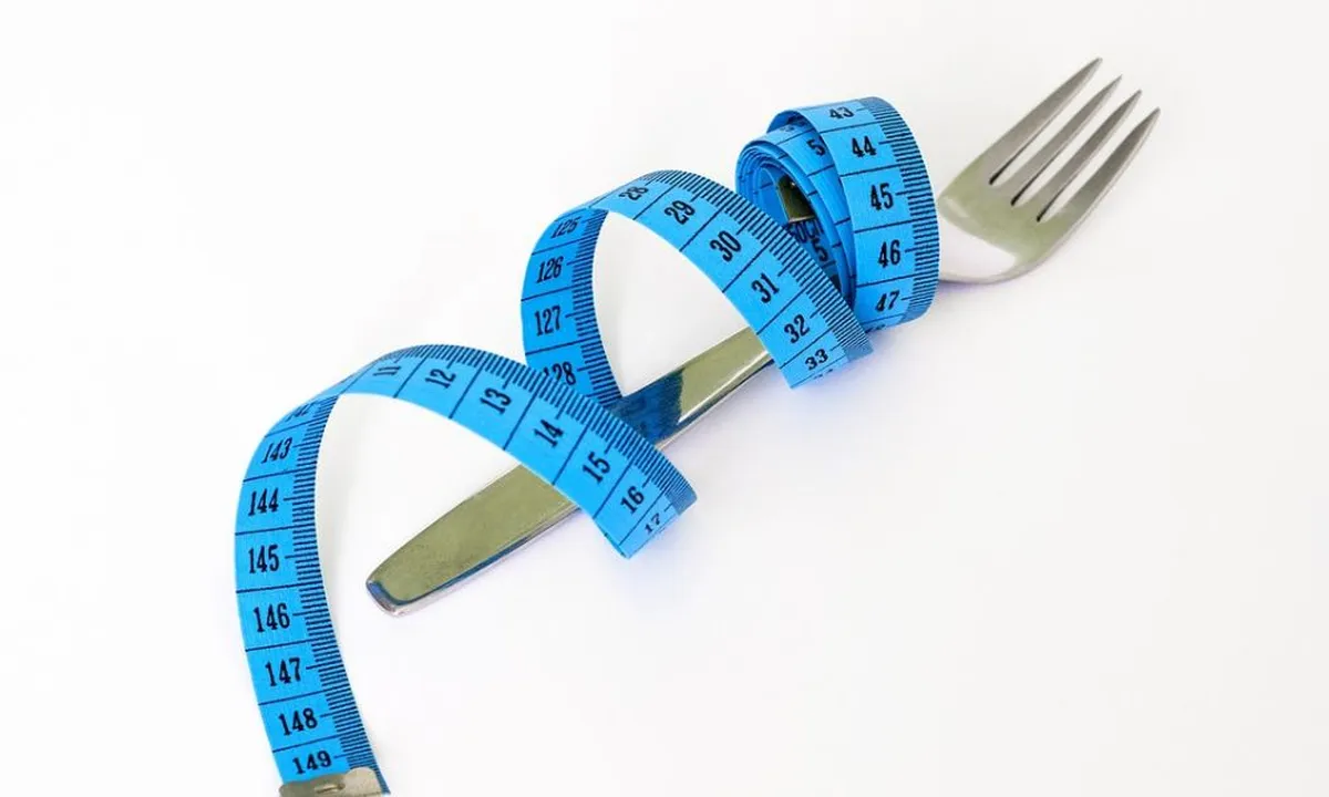 Tips Diet Usai Libur Lebaran, Kembalikan Berat Badan Seperti Sebelum Puasa