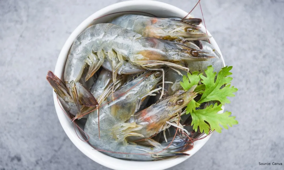 Tips Efektif Menyimpan Udang agar Tahan Lama dan Berkualitas