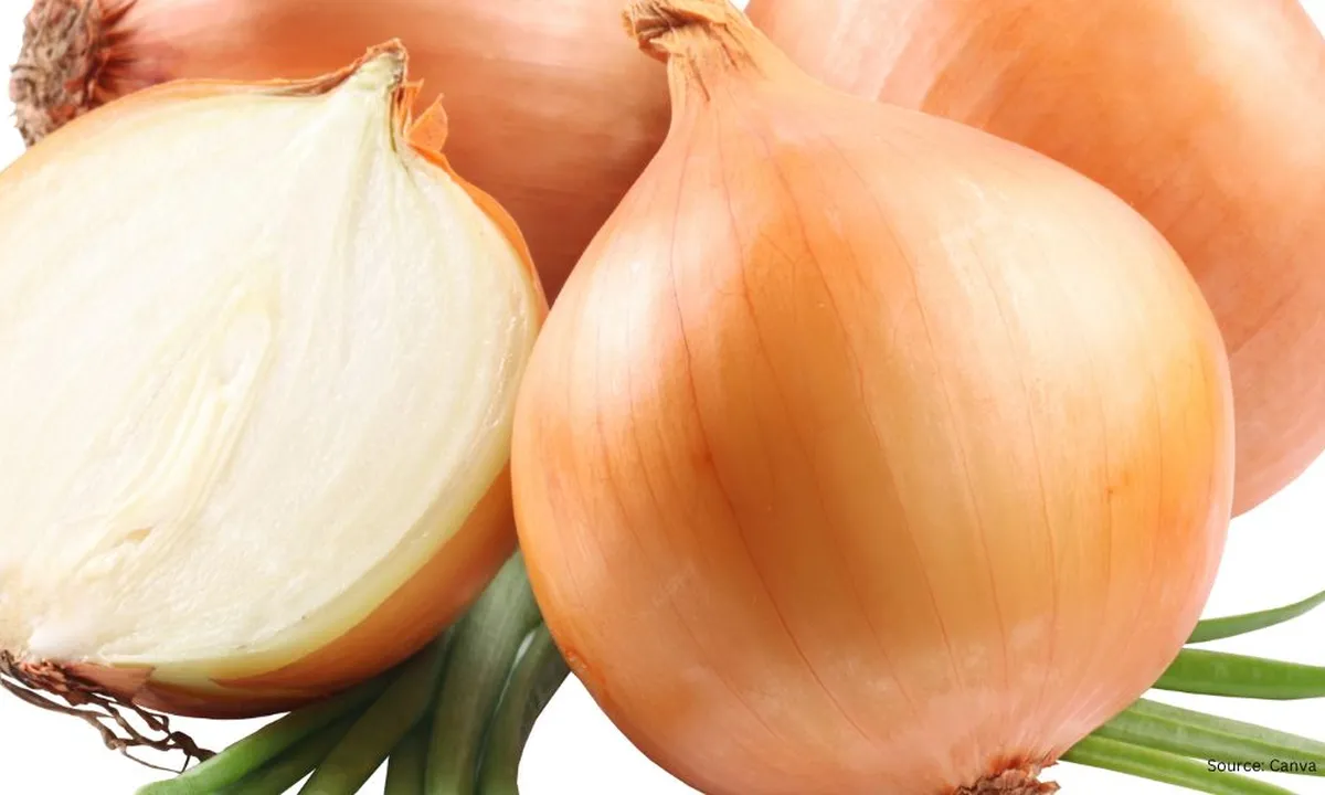 Tips Menyimpan Sisa Bawang Bombay dengan Hasil Awet dan Segar