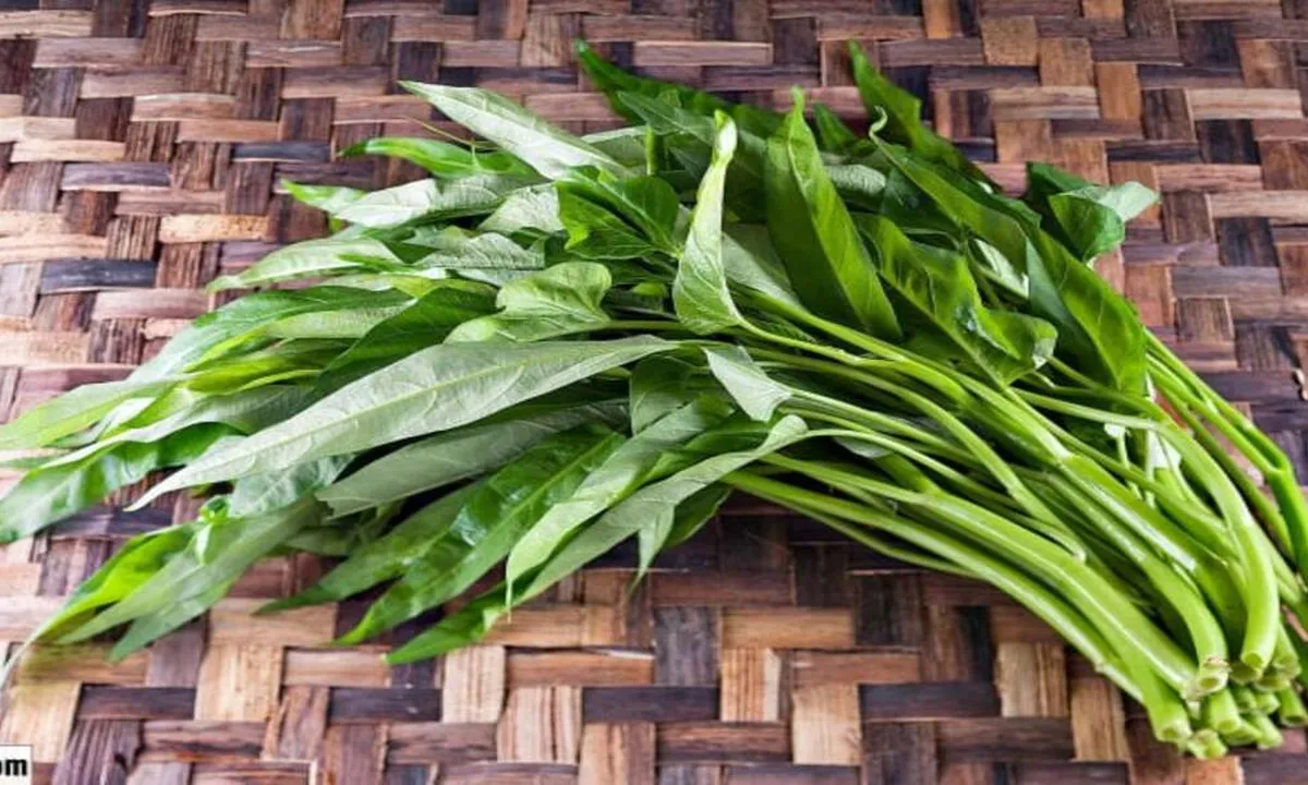 Tips Merebus Kangkung yang Benar untuk Hidangan Sehat di Rumah