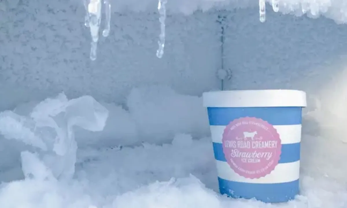 Tips Praktis Membuat Freezer Bebas Bunga Es dalam Waktu Singkat
