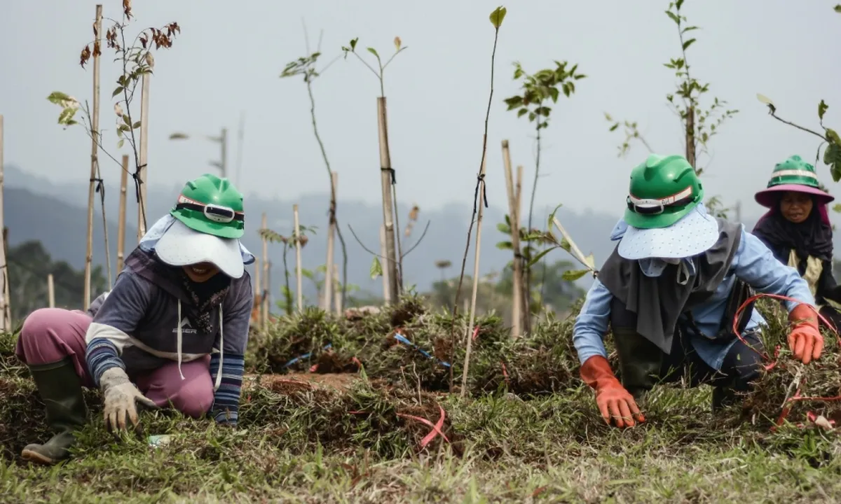 Transformasi Megamendung: Dari Sengketa Agraria Menuju Destinasi Ekowisata Berkelanjutan