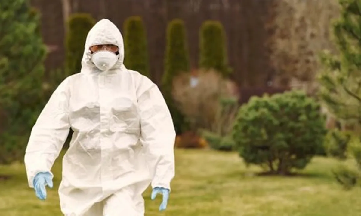 Virus Corona Covid-19 Sudah Mereda? 10 Negara Ini Telah Melonggarkan - Mencabut Lockdown