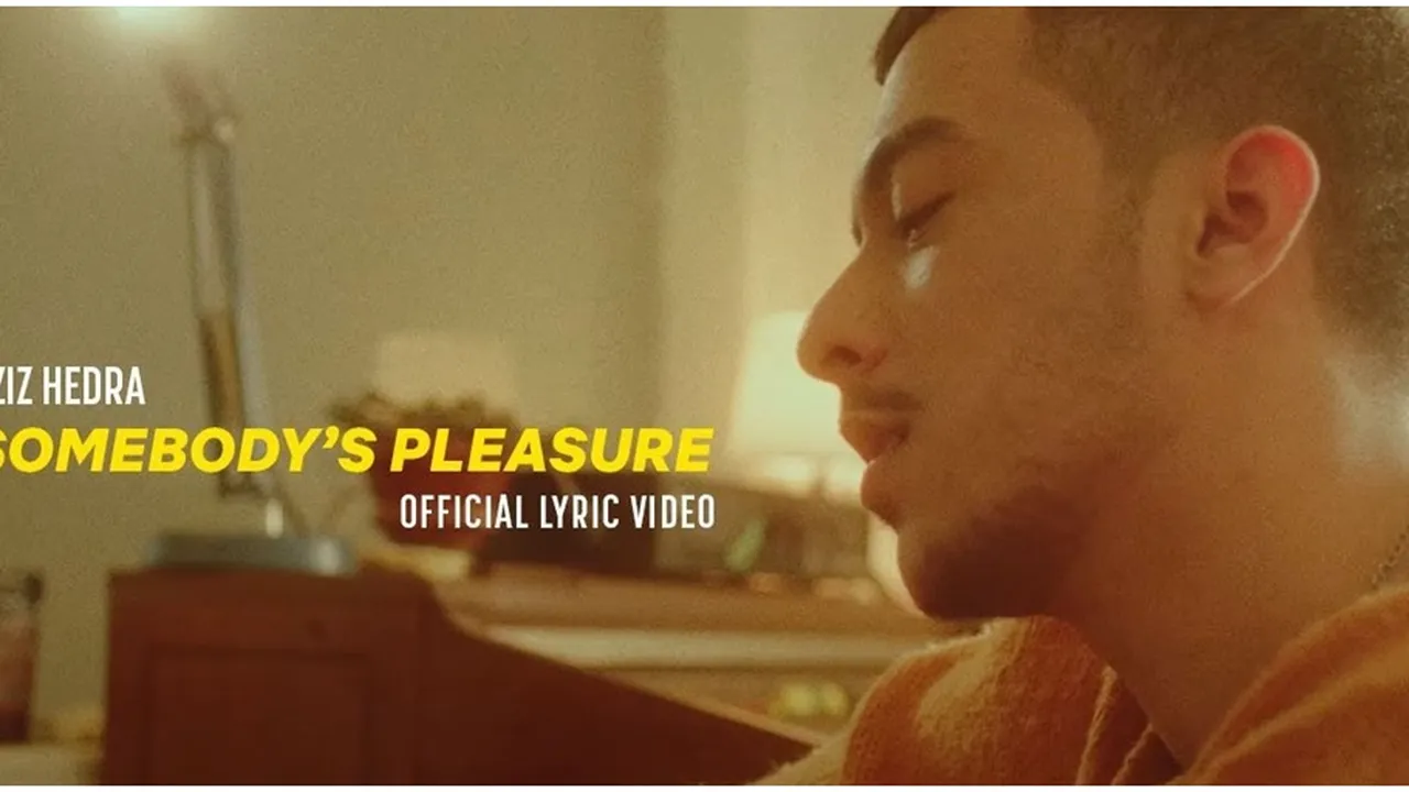 Lirik Somebody's Pleasure (Terjemahan)