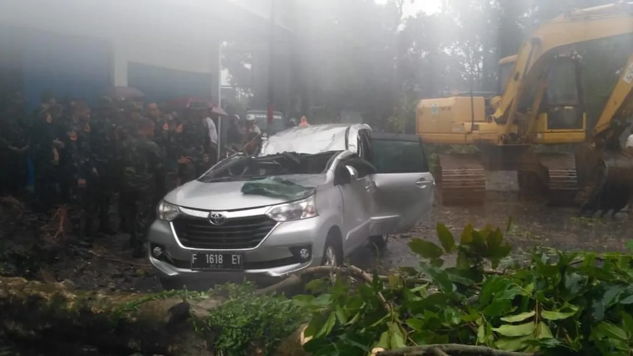 1 Orang Meninggal Dunia Tertimpa Pohon Akibat Puting Beliung di Bogor