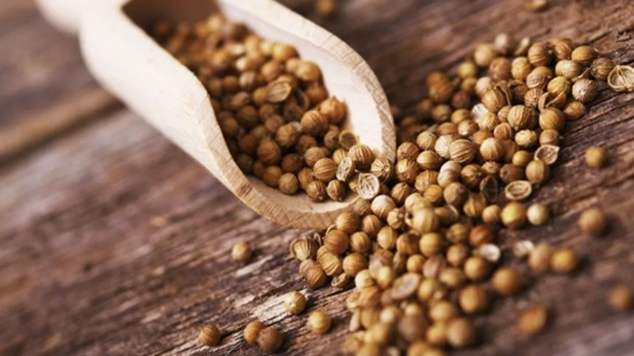 10 Manfaat Ketumbar Bagi Kesehatan, Tak Hanya Bumbu Masak Tapi Juga Minuman Herbal