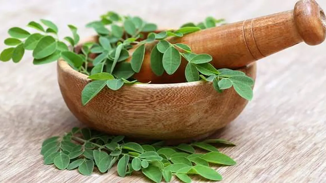 12 Manfaat Daun Kelor Bagi Kesehatan, Herbal Alami Ringankan Nyeri Haid